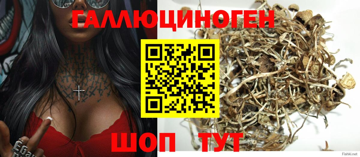 Псилоцибиновые грибы прущие грибы  Вход с VPN  Южно-Сахалинск 